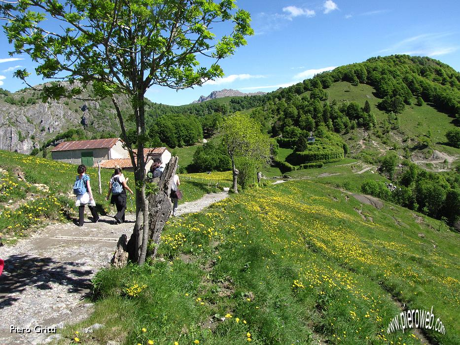 23 Ai cascinali della località Sella.jpg